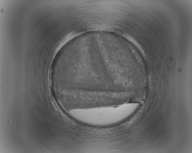 X0000081450983200702021738