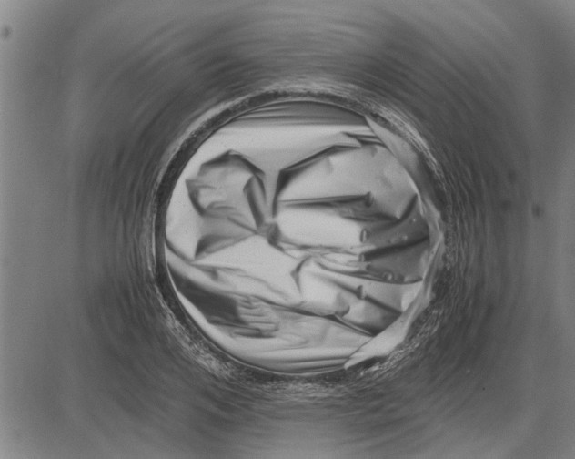 X0000081450984200702021738