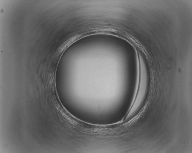 X0000081450985200702021738