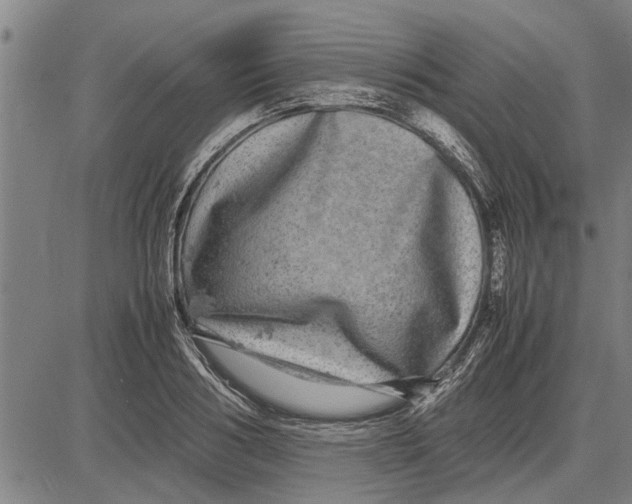 X0000081450986200702021738