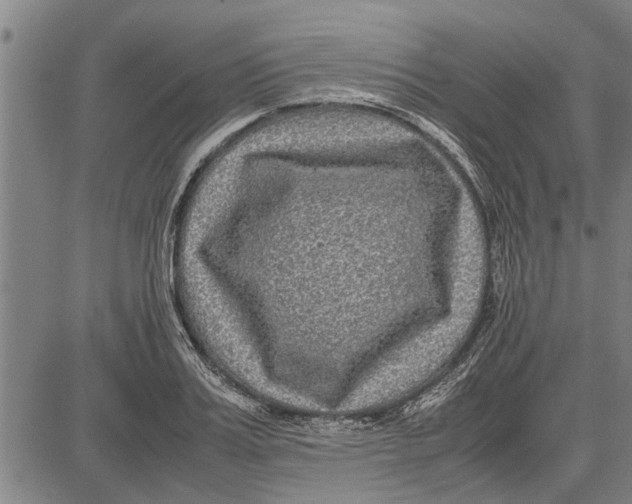 X0000081450987200702021738