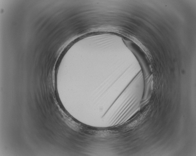 X0000081450988200702021738