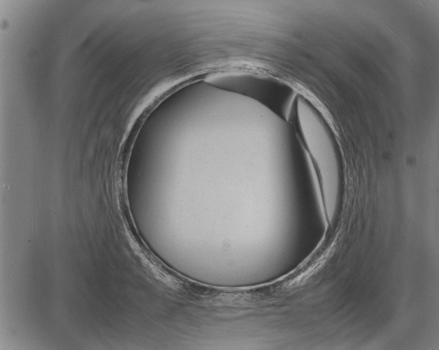 X0000081450989200702021738