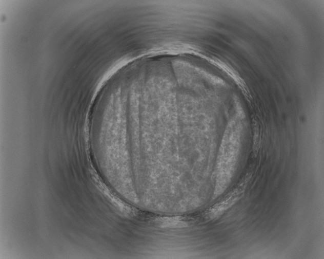 X0000081450990200702021738