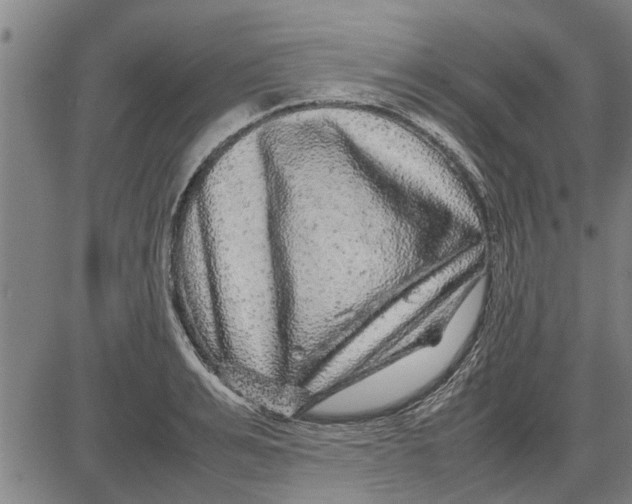 X0000081450991200702021738