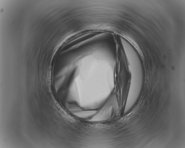 X0000081450992200702021738