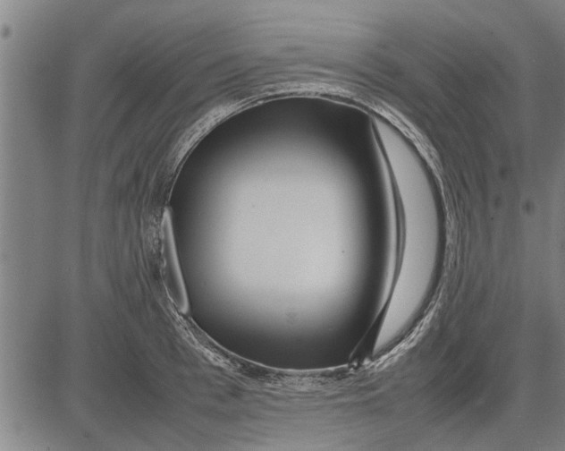 X0000081450993200702021738