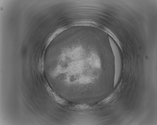 X0000081450994200702021738