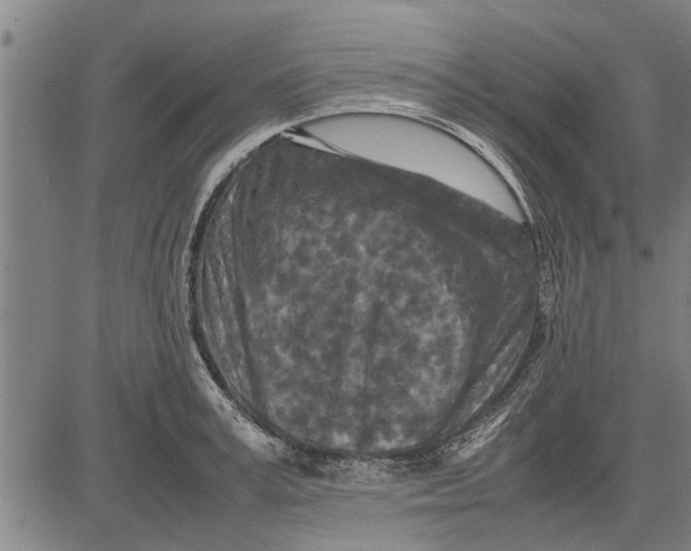 X0000081450995200702021738