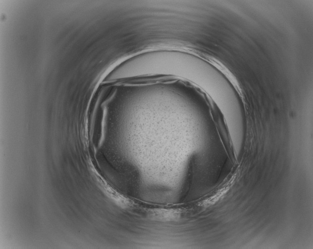 X0000081450996200702021738