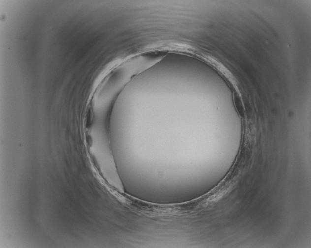 X0000081450997200702021738