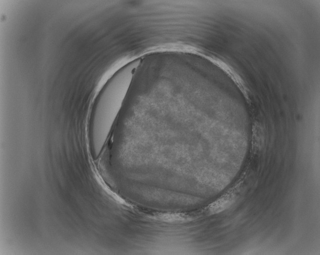 X0000081450998200702021738