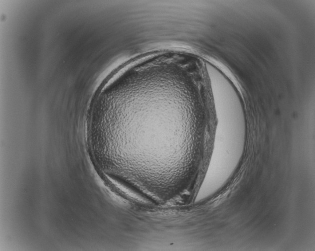 X0000081450999200702021738