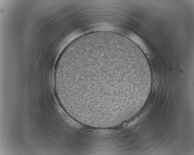 X0000081451000200702021738