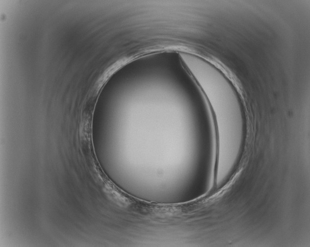 X0000081451001200702021738