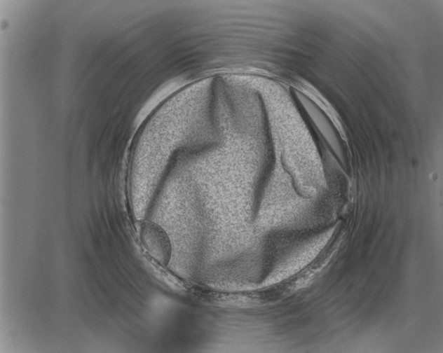 X0000081451002200702021737