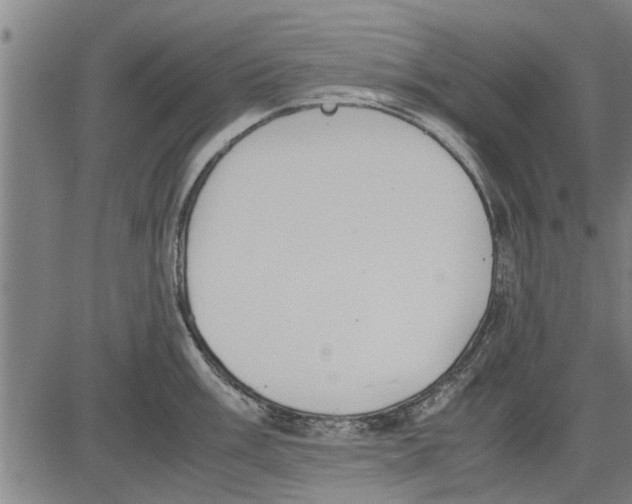 X0000081451003200702021737