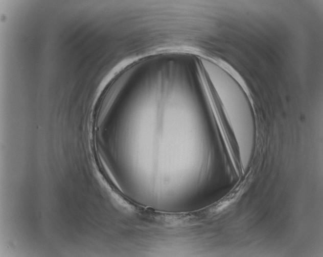 X0000081451005200702021737