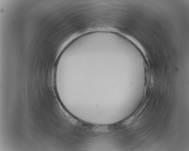 X0000081451006200702021737