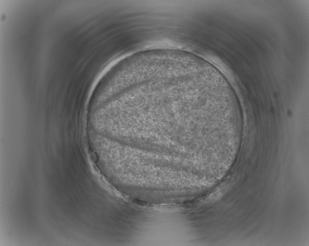 X0000081451008200702021737