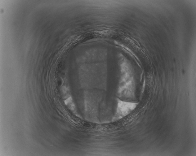 X0000081451009200702021737