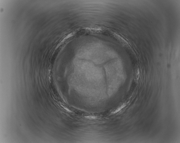 X0000081451010200702021737