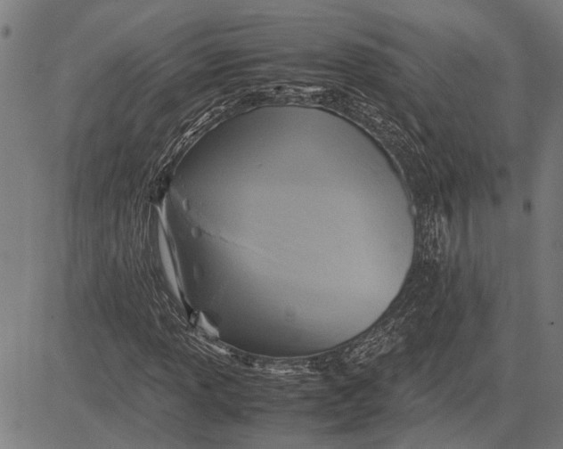 X0000081451013200702021737