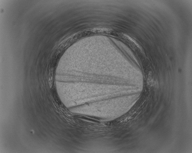 X0000081451015200702021737