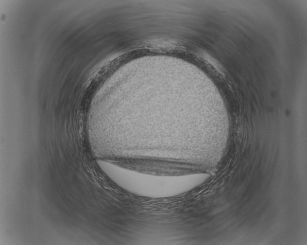 X0000081451016200702021737