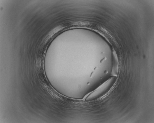 X0000081451017200702021737