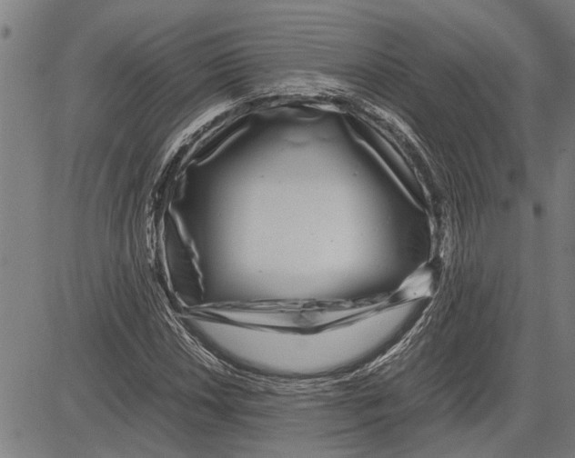 X0000081451018200702021737