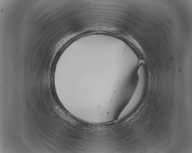 X0000081451020200702021737