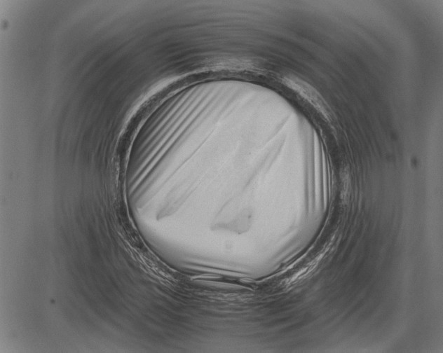 X0000081451021200702021737