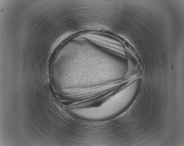 X0000081451022200702021737