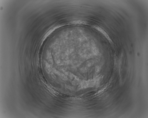 X0000081451023200702021737