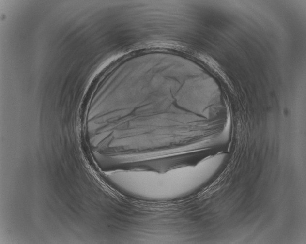 X0000081451024200702021737