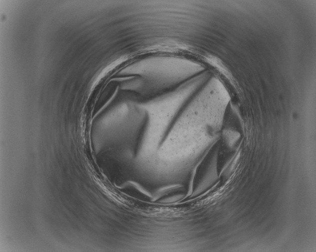 X0000081451026200702021737