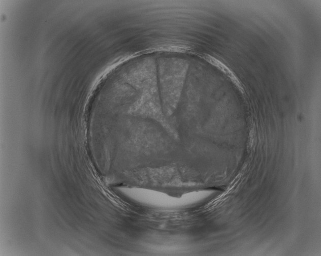 X0000081451027200702021737