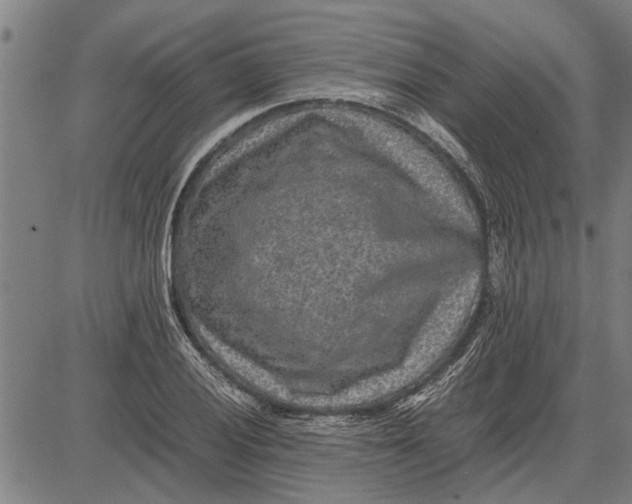 X0000081451028200702021737