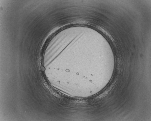 X0000081451029200702021737