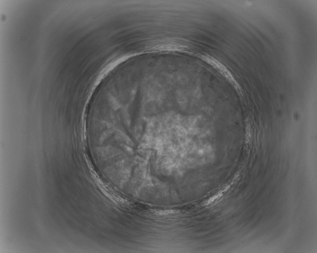 X0000081451031200702021737