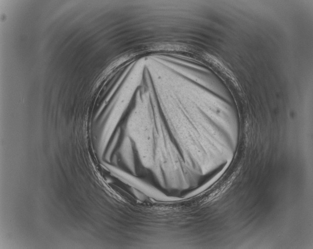 X0000081451033200702021737