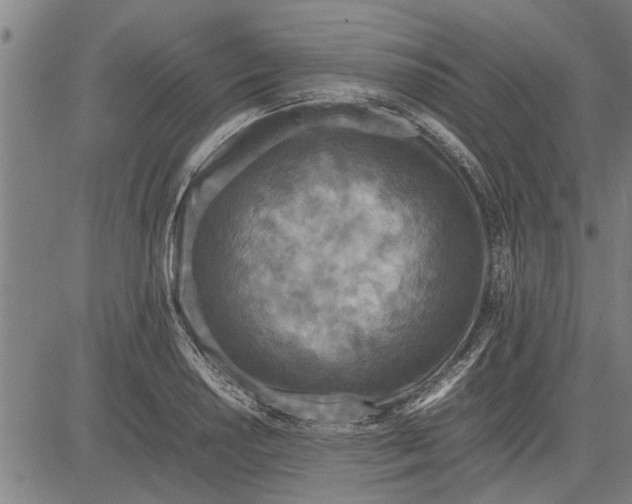 X0000081451034200702021737