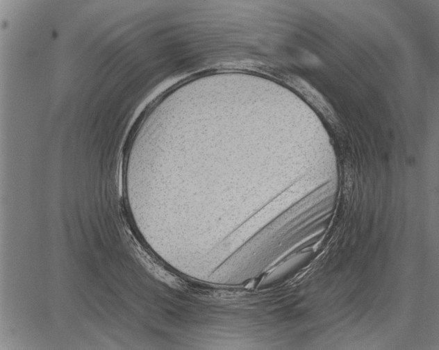 X0000081451036200702021737