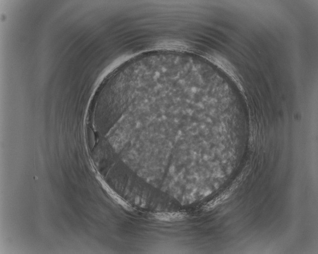 X0000081451037200702021737