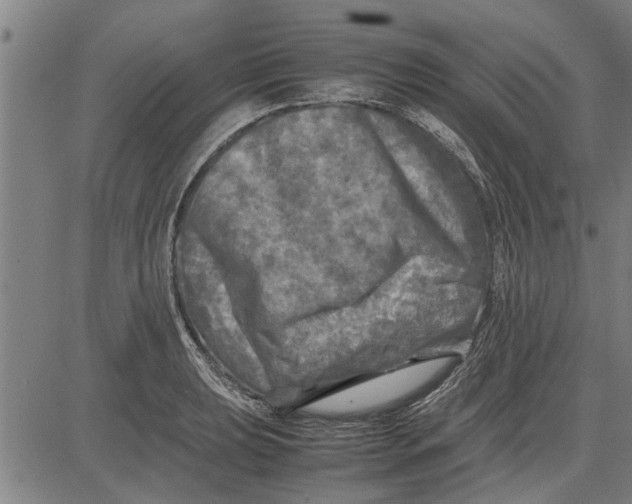 X0000081451039200702021737