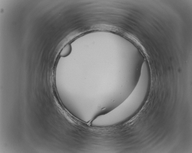 X0000081451040200702021737