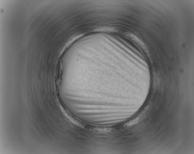 X0000081451041200702021737