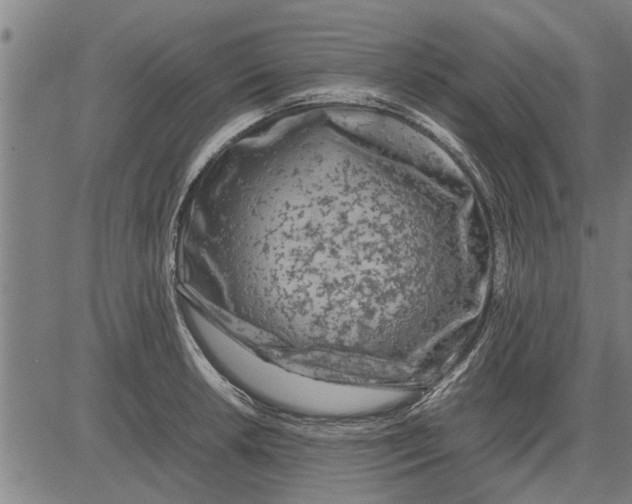 X0000081451042200702021737