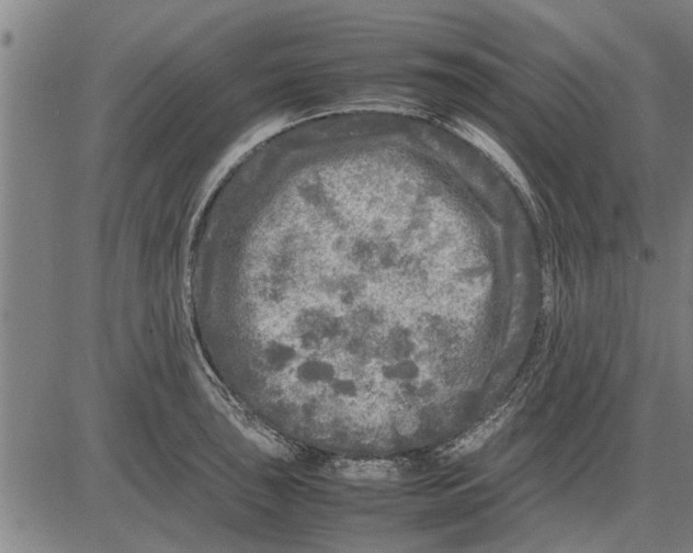 X0000081451043200702021737